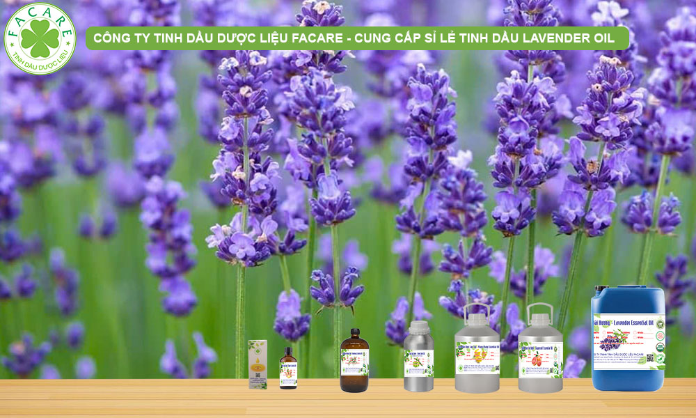 CUNG CẤP SỈ LẺ TINH DẦU LAVENDER