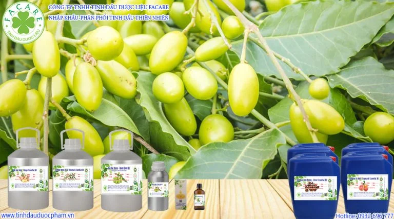 tinh dầu neem trừ sâu