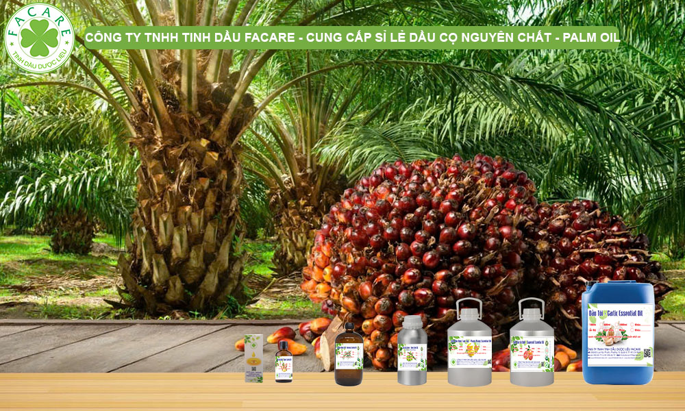 CUNG CẤP SỈ LẺ DẦU CỌ PALM