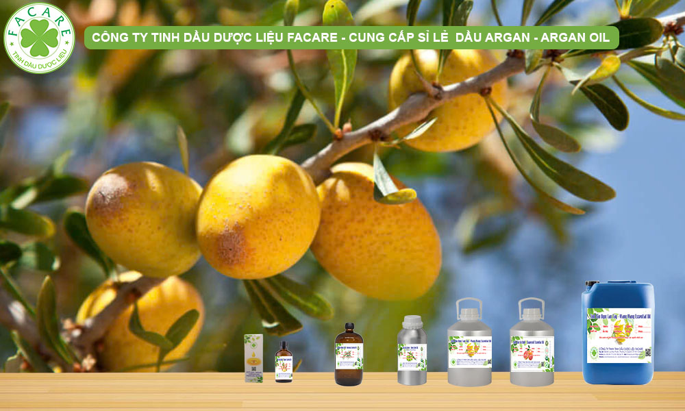 CUNG CẤP SỈ LẺ TINH DẦU ARGAN