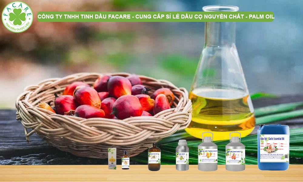 CUNG CẤP SỈ LẺ TINH DẦU CỌ PALM