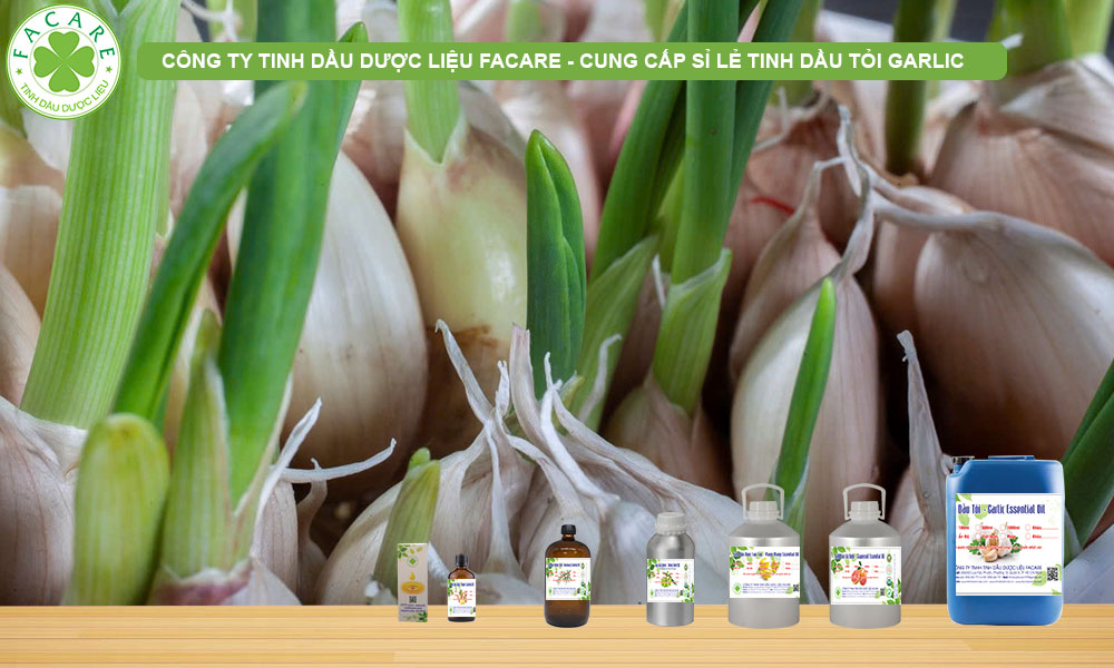 CUNG CẤP SỈ LẺ TINH DẦU TỎI GARLIC