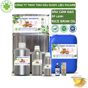 Dầu Cám Gạo - Rice Bran Oil