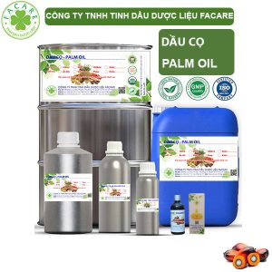 Dầu Cọ - Palm Oil