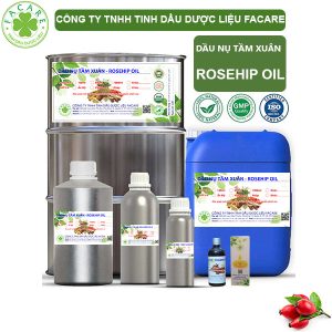 Dầu Nụ Tầm Xuân - Rosehip Oil