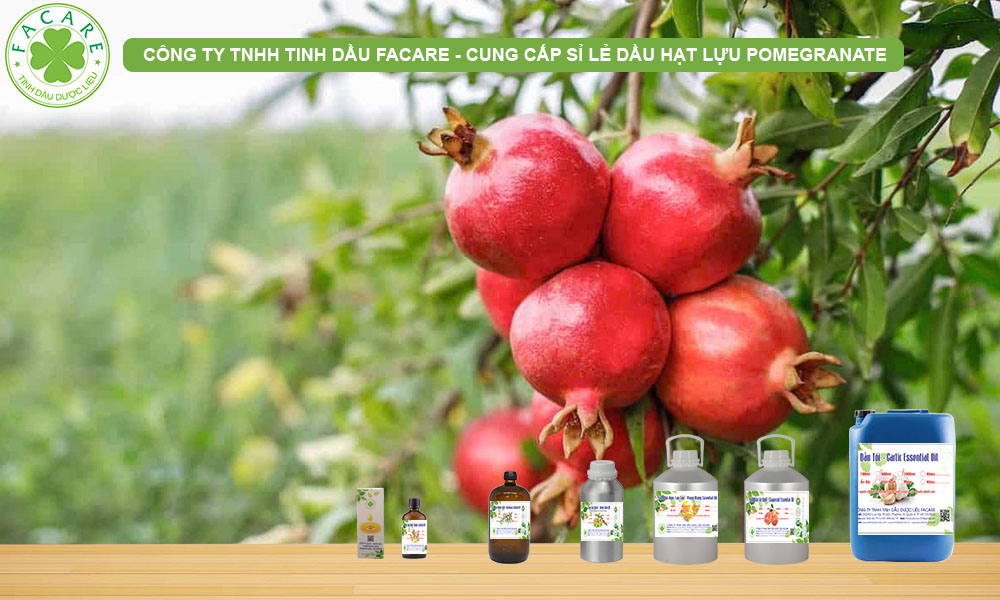 QUY CÁCH ĐÓNG GÓI Dầu Hạt Lựu - Pomegranate Oil