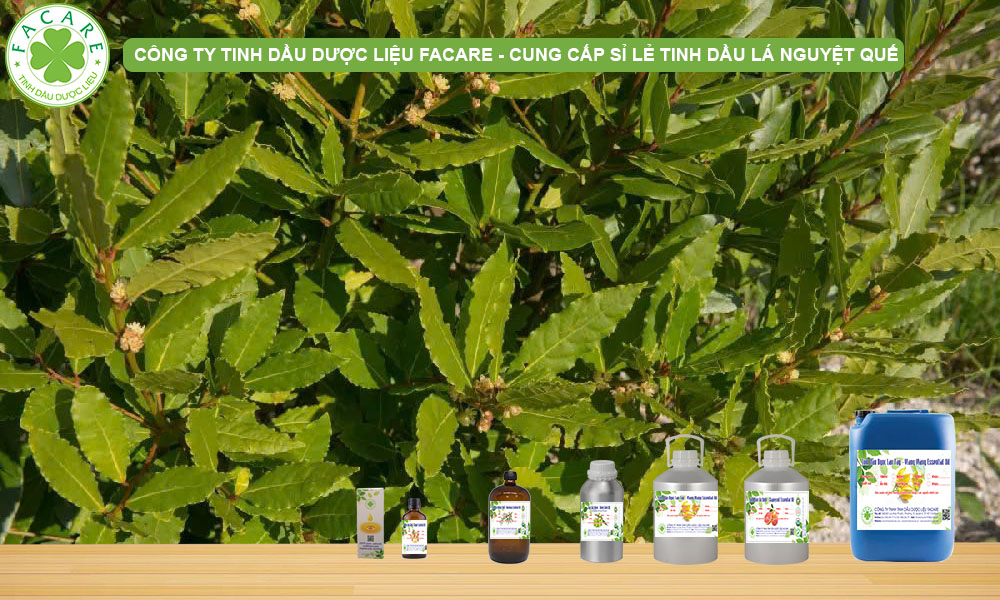 QUY CÁCH ĐÓNG GÓI TINH DẦU BAY LEAF