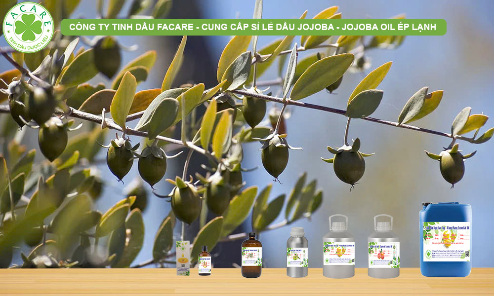 QUY CÁCH ĐÓNG GÓI TINH DẦU JOJOBA ÉP LẠNH