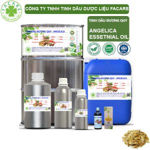 Tinh Dầu Đương Quy - Angelica Seed Oil