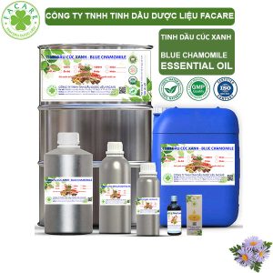 Tinh Dầu Hoa Cúc Xanh - Blue Chamomile Oil