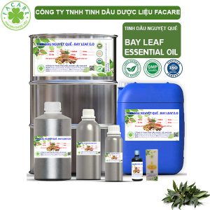 Tinh Dầu Lá Nguyệt Quế - Bay Leaf Oil