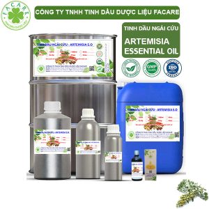 Tinh Dầu Ngải Cứu - Artemisia Oil