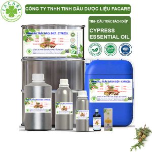 Tinh Dầu Trắc Bách Diệp - Cypress Oil