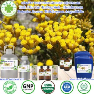 Tinh Dầu Cúc Trường Sinh - Helichrysum Oil
