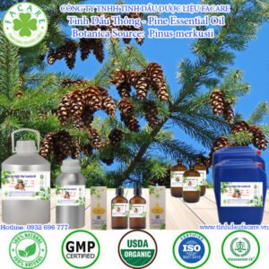 Tinh Dầu Thông - Pine Oil