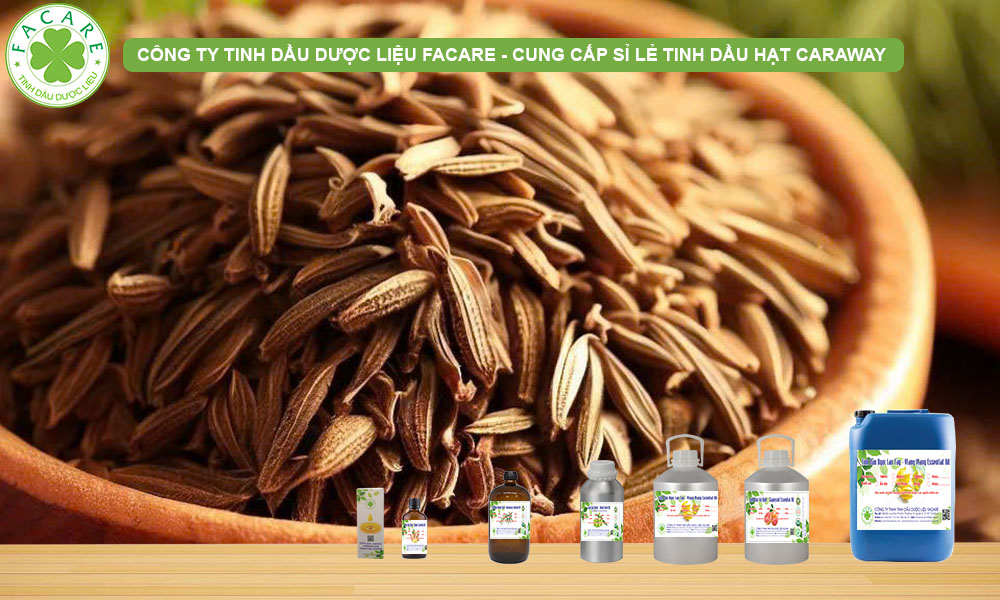 CUNG CẤP SỈ LẺ TINH DẦU CARAWAY