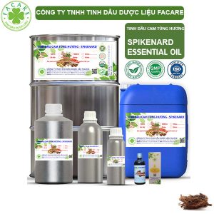 Tinh Dầu Cam Tùng Hương - Spikenard Oil