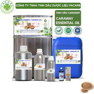 Tinh Dầu Caraway - Caraway Oil