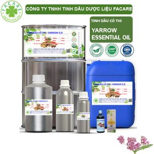 Tinh Dầu Cỏ Thi - Yarrow Oil