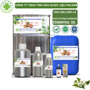 Tinh Dầu Diếp Cá - Houttuynia Cordata Oil