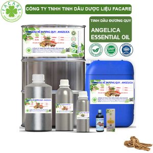 Tinh Dầu Đương Quy - Angelica Oil