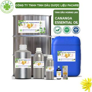 Tinh Dầu Hoàng Lan - Cananga Oil