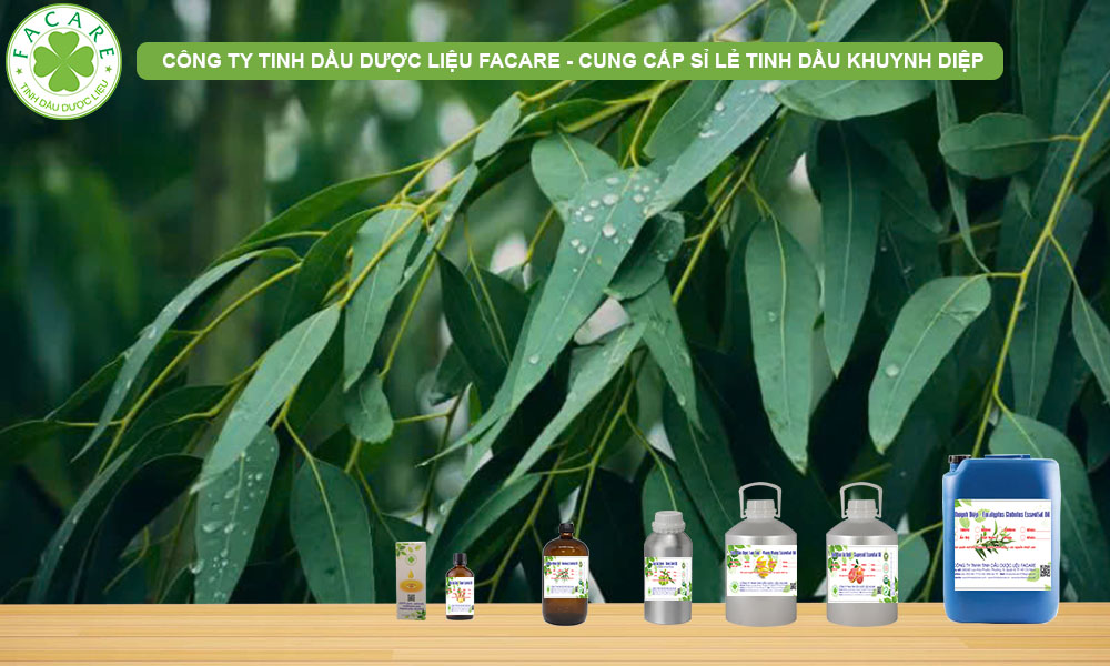 Tinh Dầu Khuynh Diệp (Eucalyptus Globulus Essential Oil)