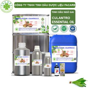 Tinh Dầu Lá Ngò Gai - Culantro Oil