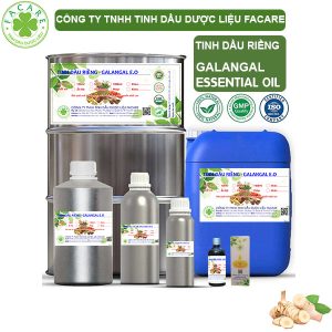 Tinh Dầu Riềng - Galangal Oil