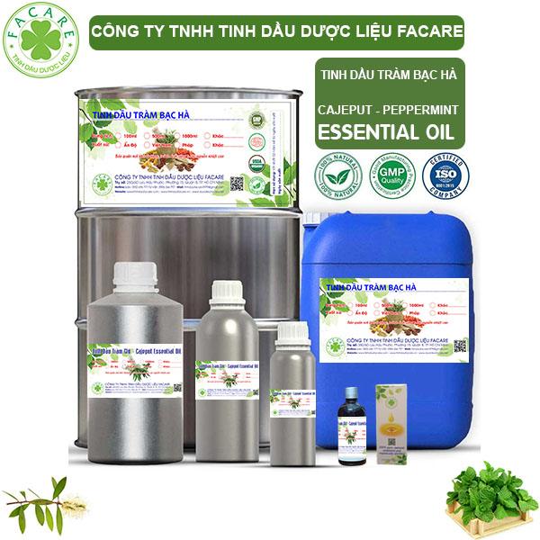 Tinh Dầu Tràm Bạc Hà - Mentha Piperita Oil