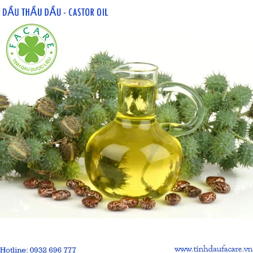 dầu thầu dầu - castor oil
