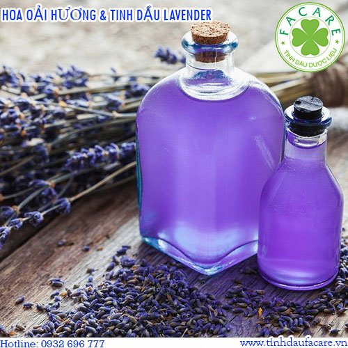 Tinh Dầu Lavender & Hoa Oải Hương