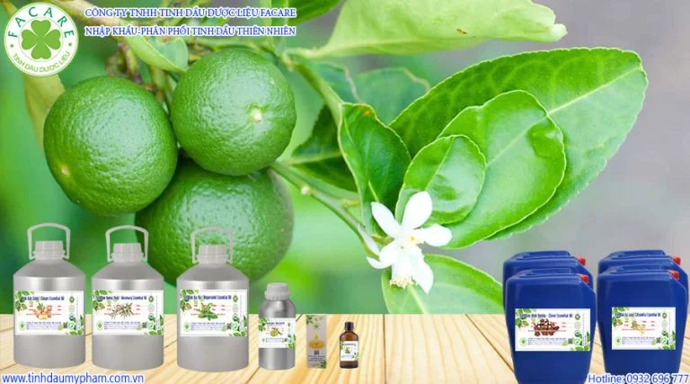 tinh dầu chanh lemon oil