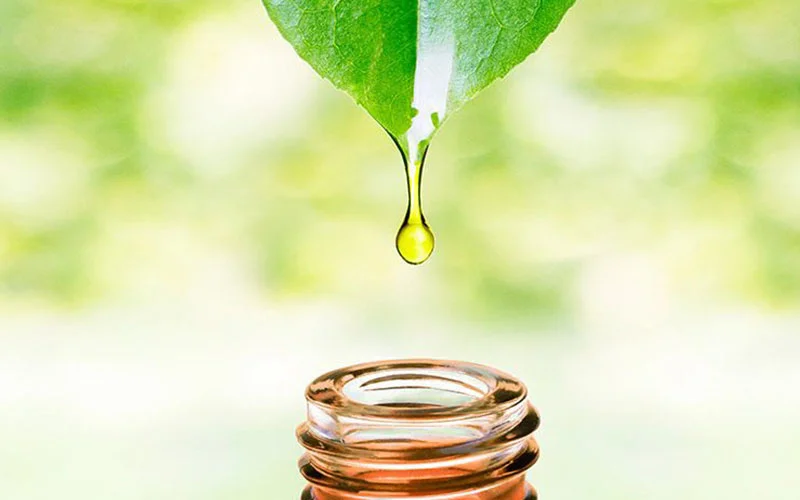 Tinh Dầu Rơi Vào Mắt
