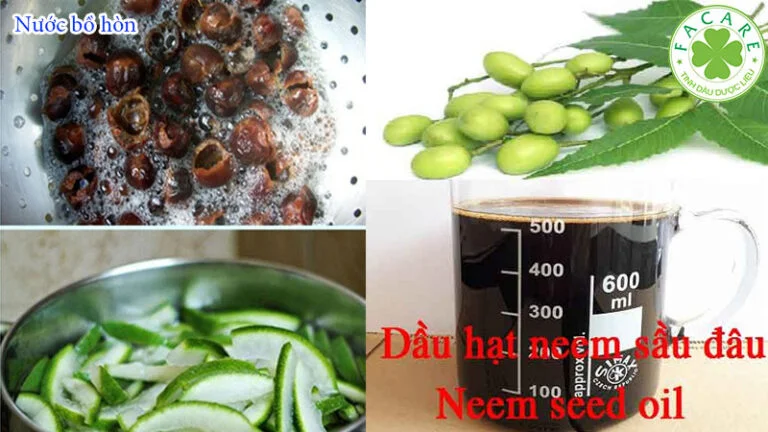 Nhũ Hóa Dầu Neem