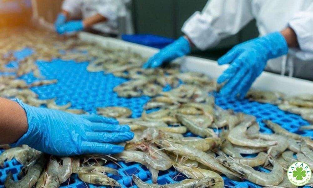 Chứng nhận VietGAP thủy sản là gì?